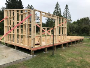 Framing underway for new build granny flat, tiny house in North Canterbury.