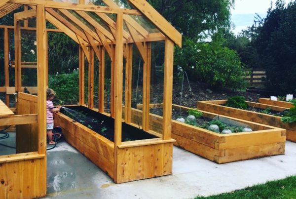 Raised veggie gardens with macrocarpa sleepers and bespoke glass house project. completed by Code Construction in North Canterbury