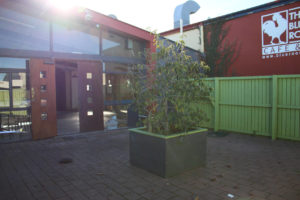 Courtyard of The Blue Rooster before Winnie Bagoes renovation