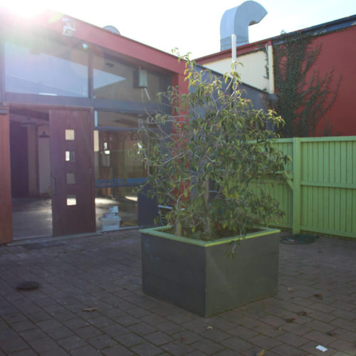 Renovation in Rangiora of the Winnie Bagoes restaurant by Code Construction