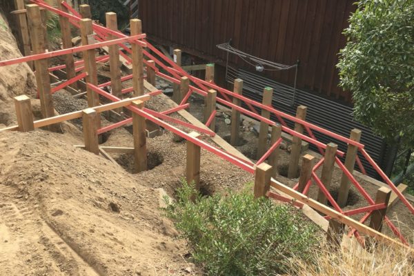 Posts in the ground ready to be concreted in for new retaining wall in Akaroa