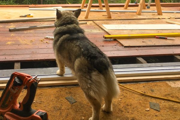 Sandy Bay deck renovation by Code Construction with pet dog on the job